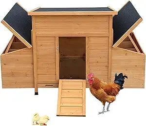 Farm Animals Chicken Coop Outdoor Hen House Nesting Boxes